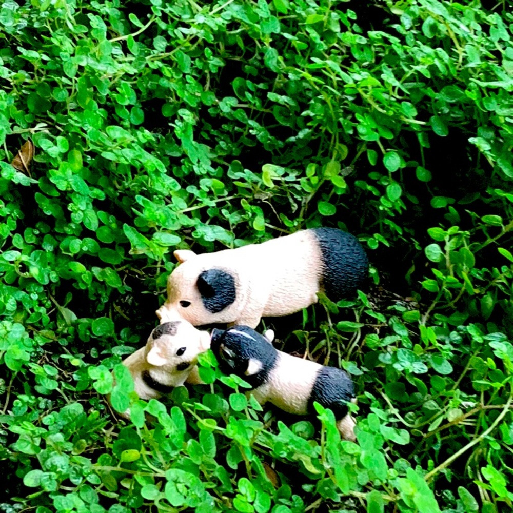 Meet your Posher, Suzy